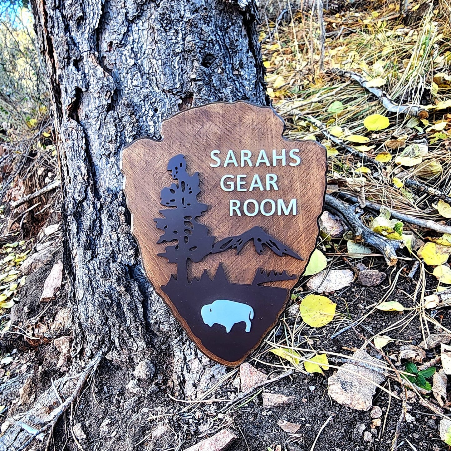 Family Name Personalized National Park Sign - Bison Peak DesignsFamily Name