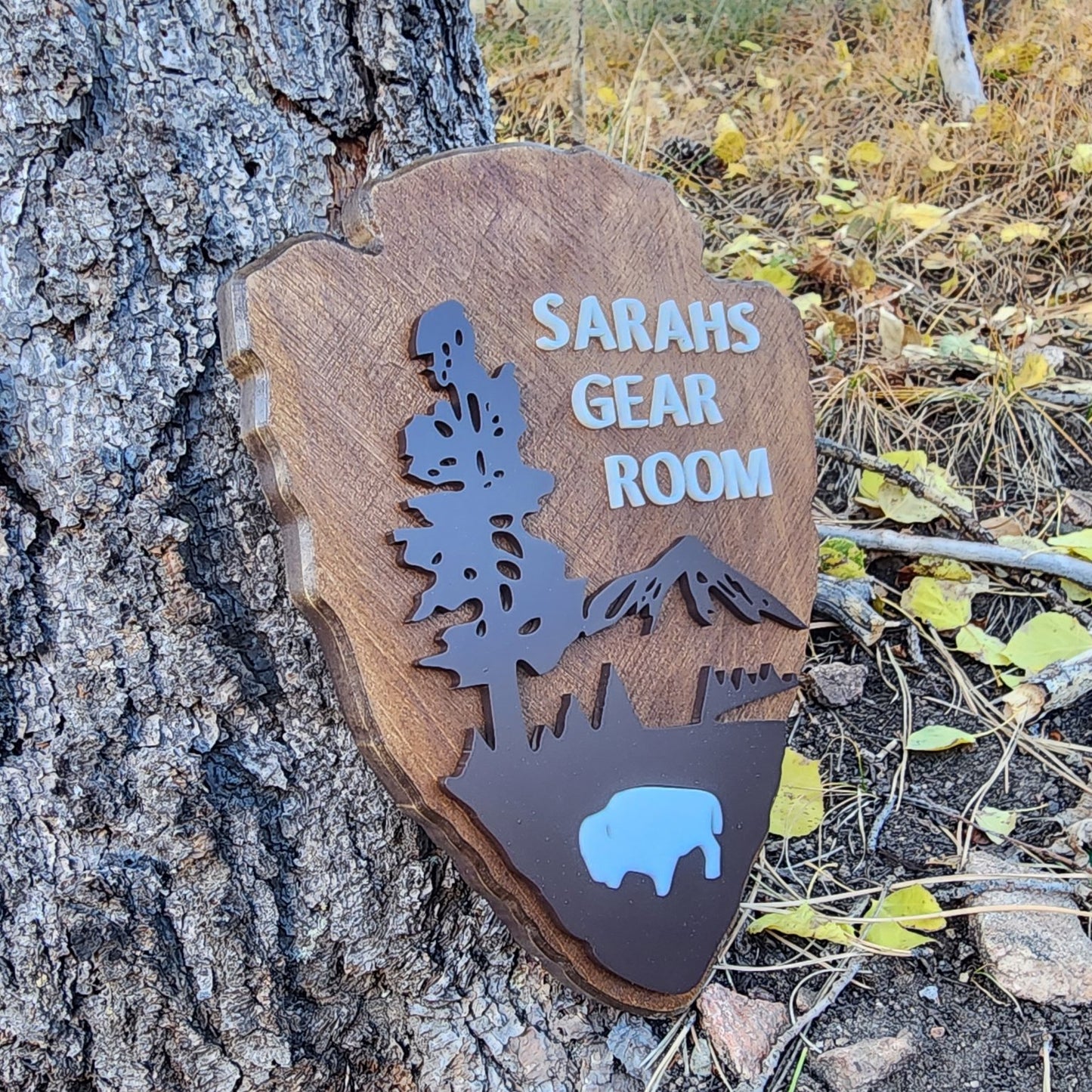 Family Name Personalized National Park Sign - Bison Peak DesignsFamily Name